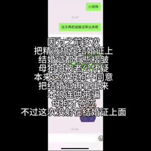 结婚证狂想曲第三部最终章